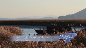 Suncheon Bay Wetland Reserve