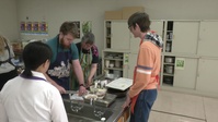 MCAS Iwakuni enjoys lotus roots meals (Package/Pkg)