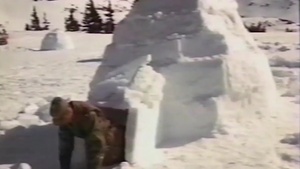 10th Mountain Division History Brief Series - D-Series