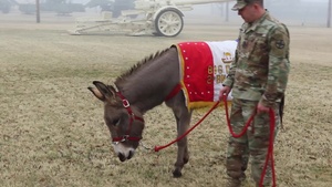 Army Artillery Mascots Promoted