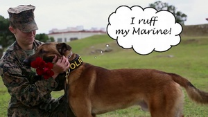 Happy Valentine's Day from MCIPAC