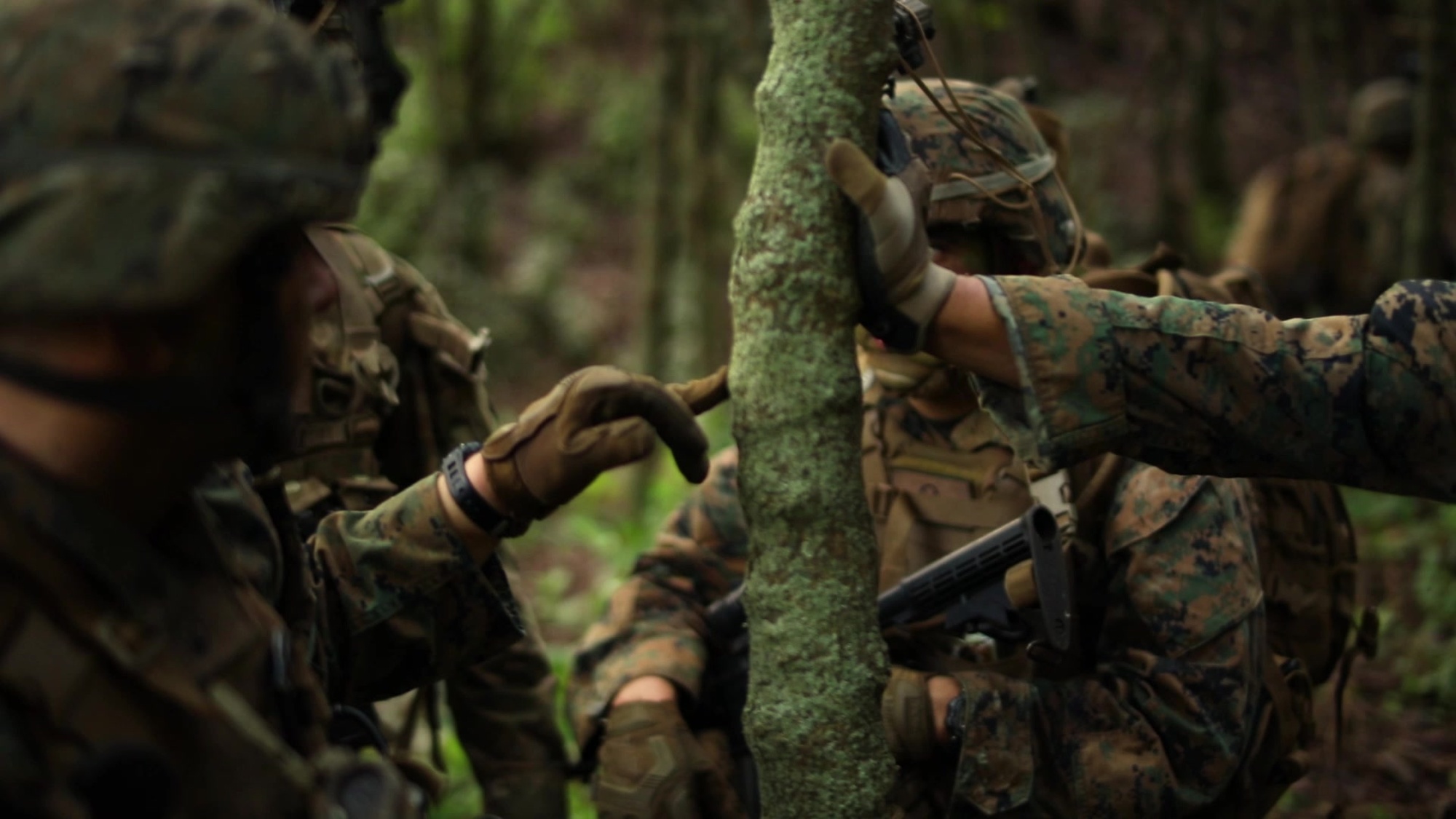 Students with Advanced Infantry Marine Course (AIMC) take part in a field evaluation exercise at Marine Corps Training Area Bellows, Feb. 7, 2019. AIMC is intermediate training designed to enhance and test the Marine's skills and leadership abilities as squad leaders in a rifle platoon. (U.S. Marine Corps video by Cpl. Brendan Custer)