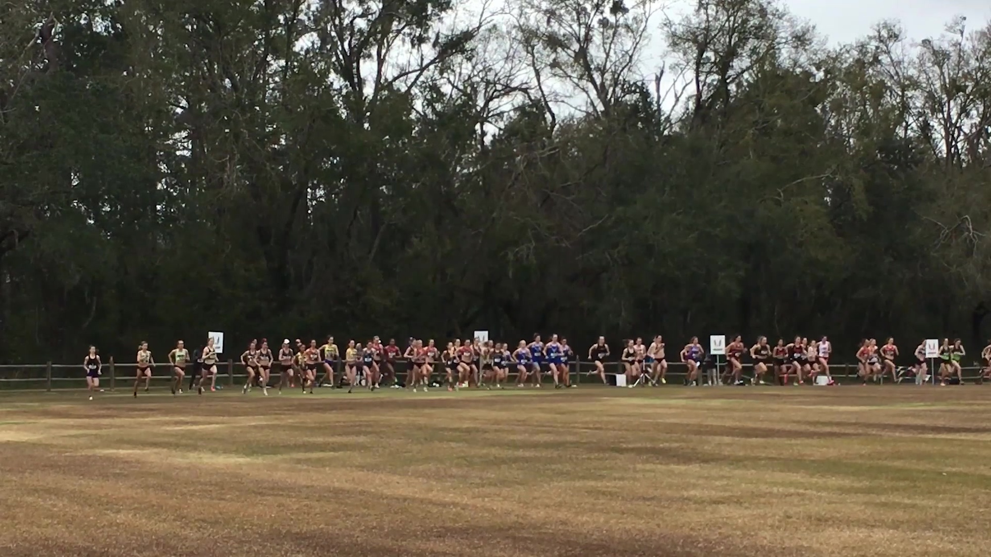 The Armed Forces Cross Country Championship Feb. 2 was run at Apalachee Regional Park in Tallahassee, Florida, Feb. 2, 2019.  The women&#39;s 10K was part of the 2019 USA Track and Field Cross Country Championships.