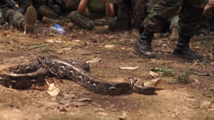Cobra Gold 19: (B-Roll) Royal Thai, US Marines learn essential jungle survival skills at Ban Chan Krem