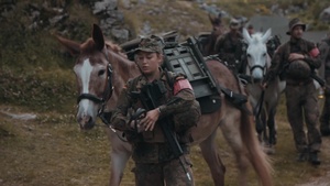 Pack Animals - the German Mountain Infantry Brigade (IT with Music)