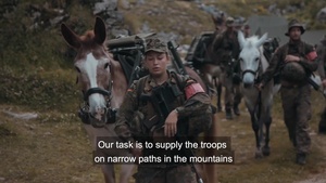 Pack Animals - the German Mountain Infantry Brigade (With Subtitles)