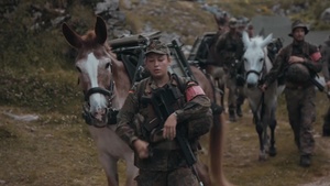 Pack Animals - the German Mountain Infantry Brigade