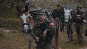 Pack Animals - the German Mountain Infantry Brigade (IT Version)