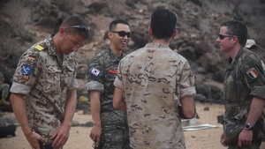 CJTF-HOA Foreign Liaison Officers Participate in Small Arms Familiarization