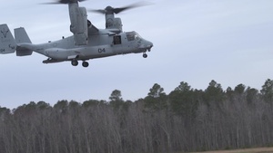 Marines exercise airfield security tactics