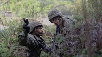 Search the jungle | 3rd MLG Marines and Sailors participate in jungle warfare training