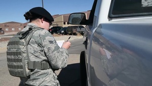 Holloman AFB Defenders
