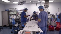 BACH Management to transition from Army Medicine to Defense Health Agency