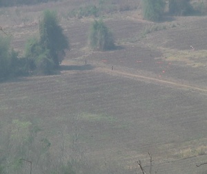 Cobra Gold 19 Combined Arms Live-Fire Exercise