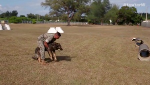 Military Working Dog Handler