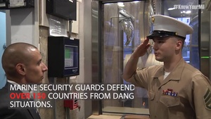 Embassy Security Guards