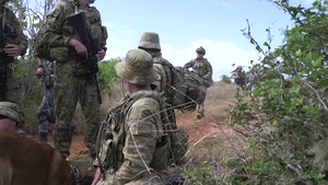 Cope North Pacific Defender 19-1 Jungle Survival Training