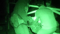 Prolonged Field Care