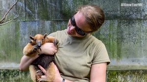 Military Careers: Veterinarians