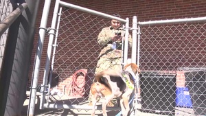 Reserve Soldiers visit SPCA