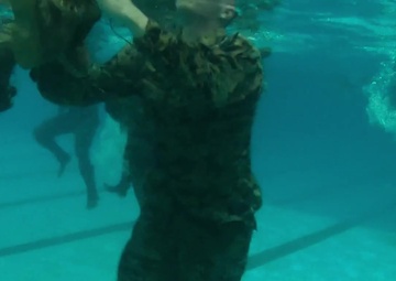 Marine Forces Reserve Swim Qualification
