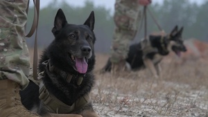 Airmen travel to Hurlburt for K-9 Training