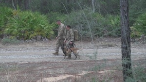 (Stringer) Airmen receive K-9 training at Hurlburt Field