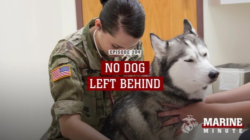 Marine Minute: No Dog Left Behind