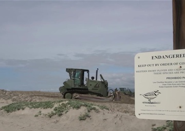 B-Roll: 7th Engineer Support Battalion help improve the protected California Least Tern Habitat at Del Mar Beach