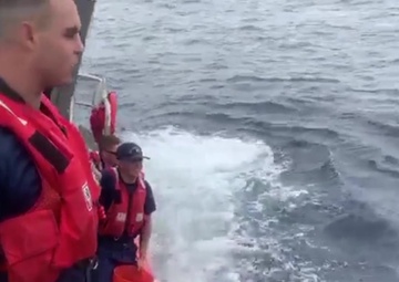 B-Roll: Coast Guard assists NOAA in whale disentanglement off Maui