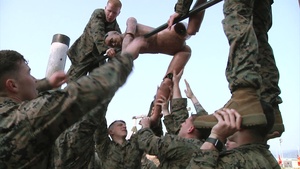 Marines, Sailors commemorate Chosin Resevoir with PT (B-Roll)