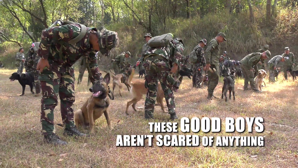 DVIDS Video Salaknib Joint Forces K9 Training