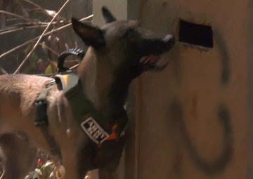 Salaknib 2019 K9 Training B-Roll