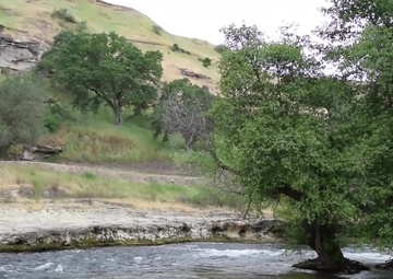 Stanislaus River Parks