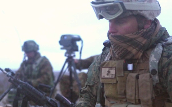 Marines demonstrate call for fire during NTC 19-04