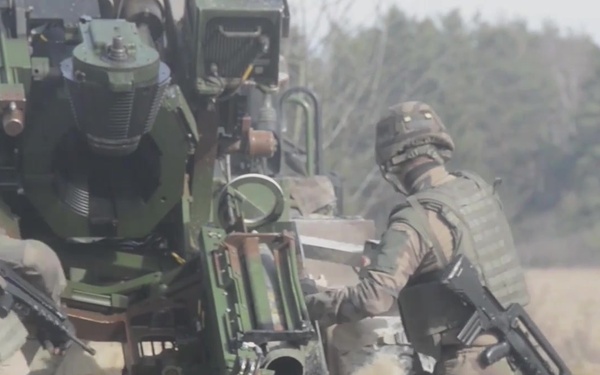 Coordinating Multinational Fires