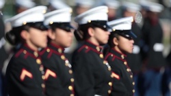 Female Marines rise above standards set by Marine Corps (Package/Pkg)
