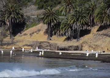 2019 State of the Coast Guard Introduction