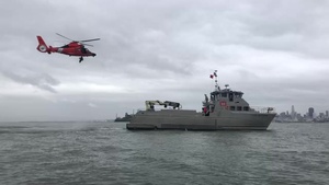 Canine Hoist In San Francisco Bay
