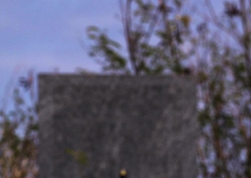 Iwo Jima veterans return to Iwo To for the 74th Reunion of Honor ceremony