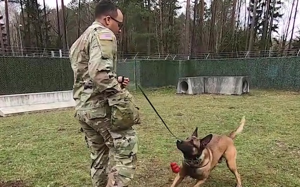 SPC Brake Military Working Dog Handler