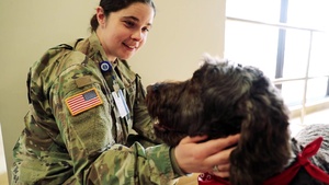 190328-2ID-RED CROSS MORALE DOG VISIT-SPOT
