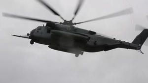 2nd Law Enforcement Battalion Conducts Bilateral Training with Royal Dutch Marines