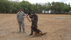 (Balikatan 2019: PAF, USAF military working dog training