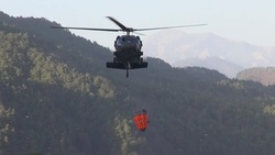 U.S. Soldiers help fight wildfires in South Korea