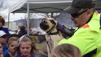 SAPR 5K 2019