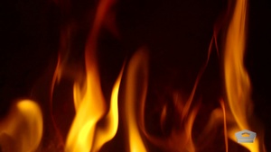 Burning Passion