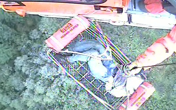 Coast Guard Medevacs Lost Hiker Near Half Moon Bay