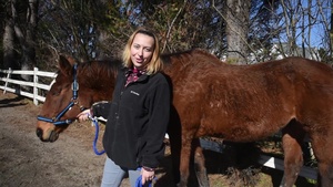 GW Sailors volunteer at Circle A Home for Horses.