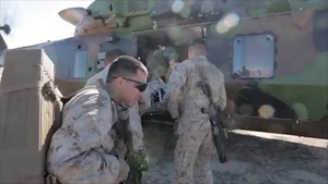 Role 2 Light Maneuver Team